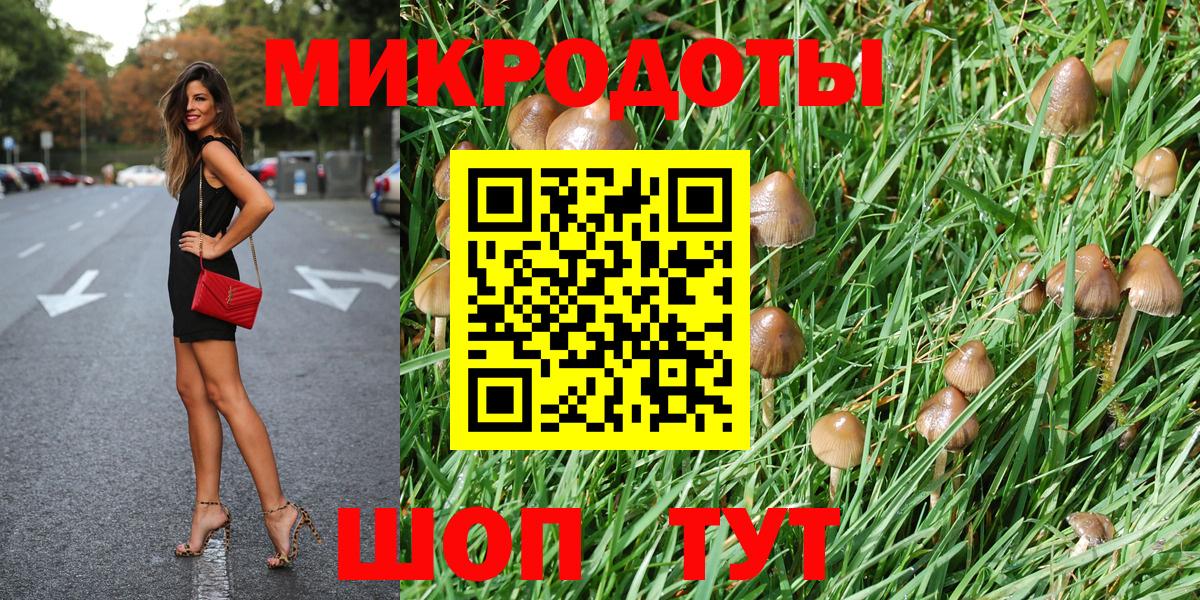 Вольск  Галлюциногенные грибы Psilocybine cubensis  Вход с VPN 