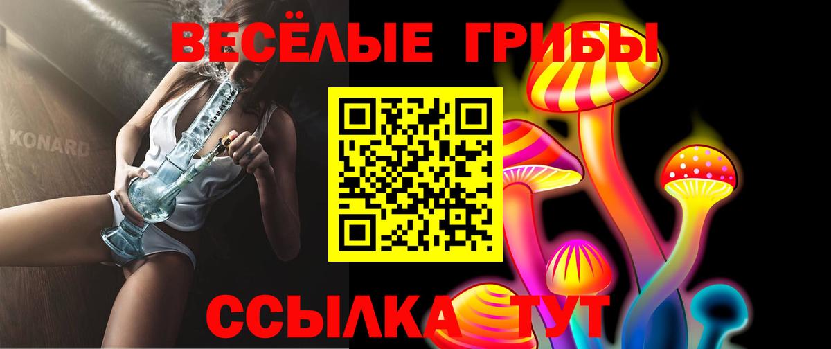 Псилоцибиновые грибы мицелий Вольск